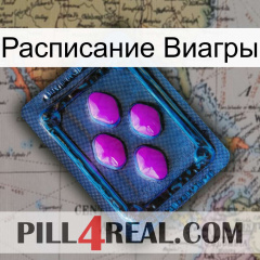 Расписание Виагры 04